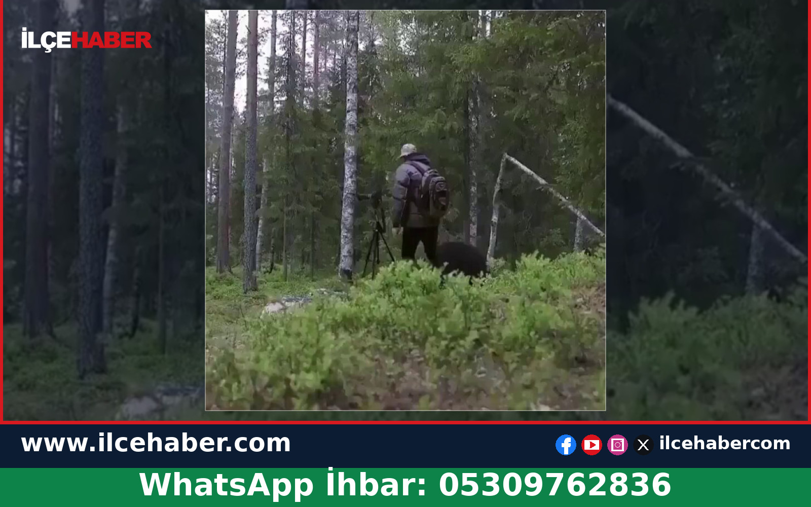 Doğa fotoğrafçısına saldıran ayıyı biber gazı kurtardı