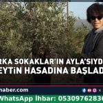 Filiz Taçbaş İzmir Aliağa’da zeytin hasadına başladı