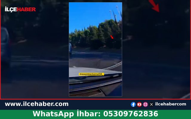 İzmir-Aydın Otoyolu’nda makas ve ani fren kazaya neden oldu