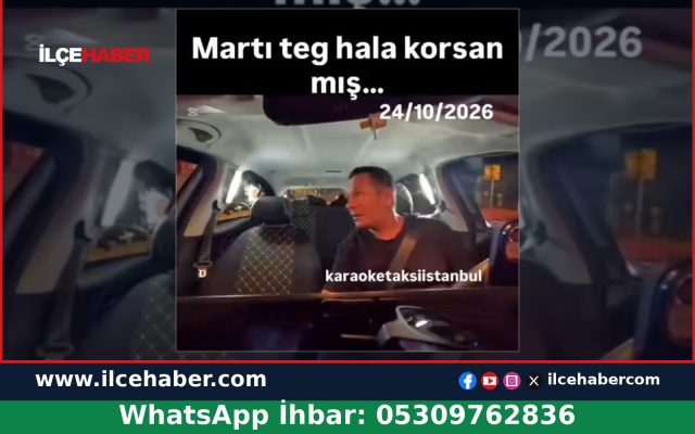 Taksici trafik polisine Martı’nın yasal durumunu sordu