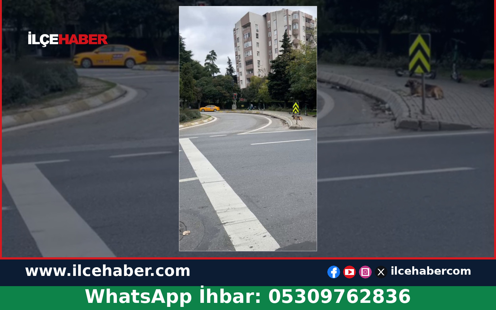 Üsküdar Libadiye Caddesi’nde Tasma Takılmış Başıboş Köpekler