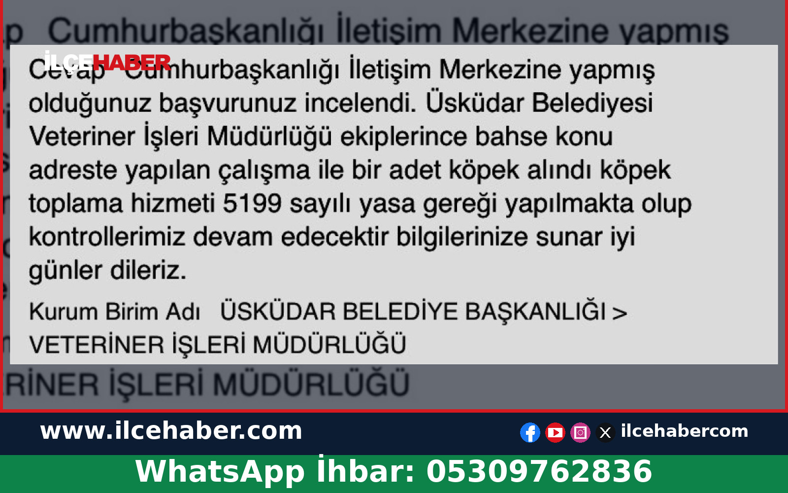 Üsküdar Selamiali Mahallesi’nde Alınan Köpek Yeniden Parkta Görüldü