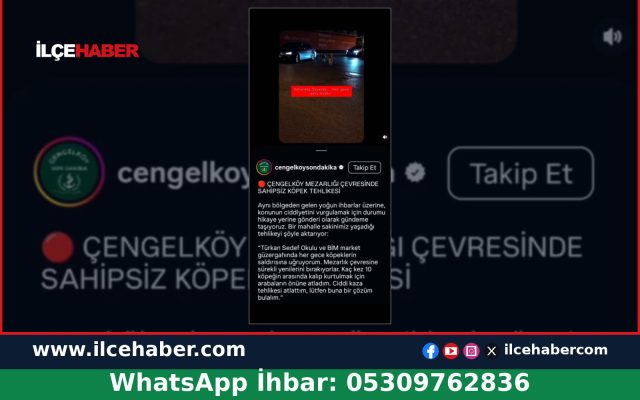 Çengelköy Mezarlığı Çevresinde Sahipsiz Köpek Tehlikesi