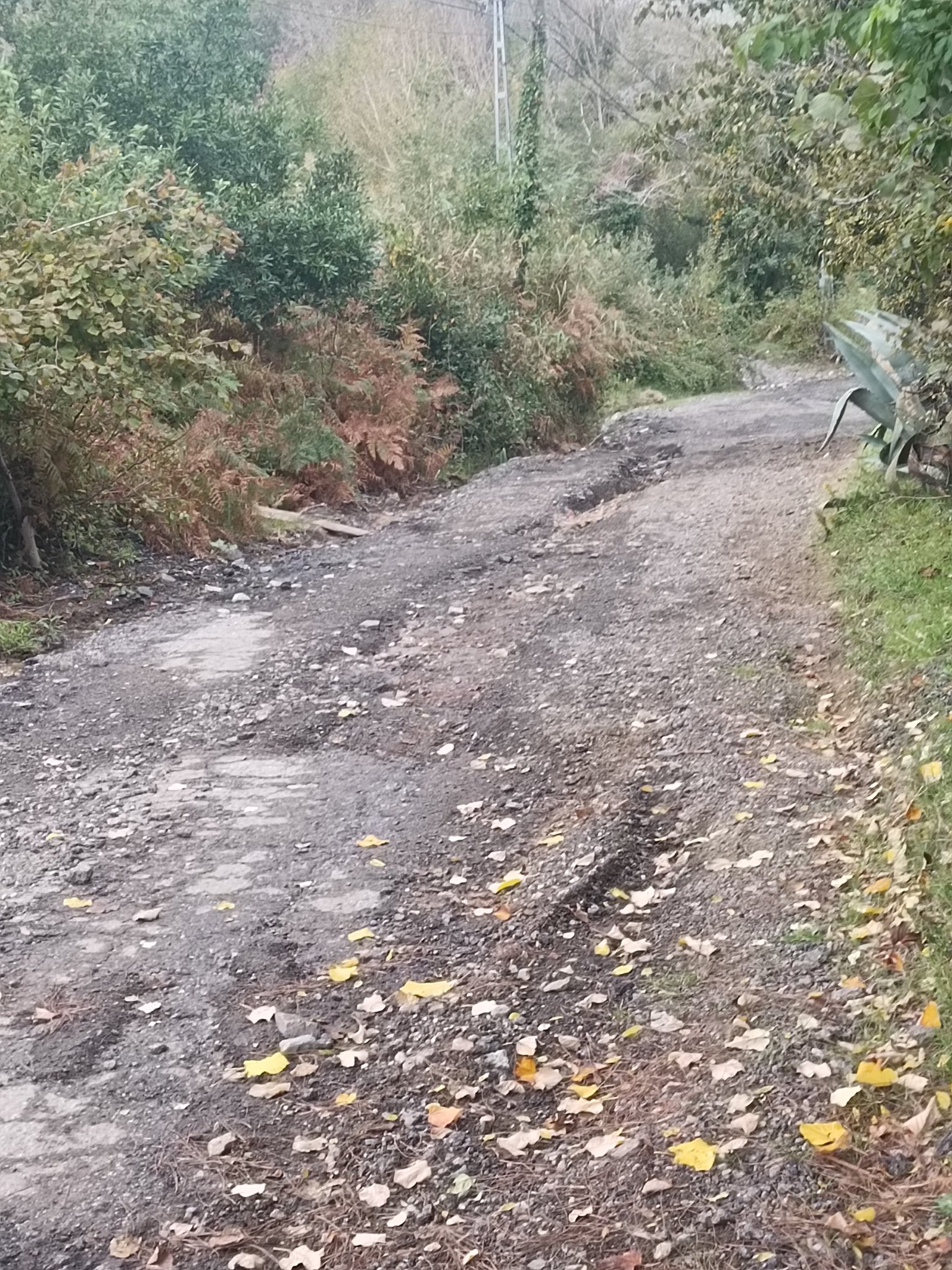 Beykoz Riva'da Bozuk Yollar ve Üst Yapı Çalışmaları Tepki Çekiyor