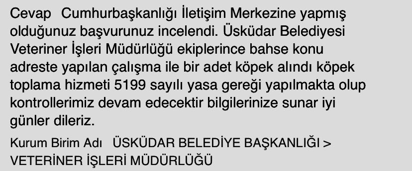 Üsküdar Selamiali Mahallesi'nde Alınan Köpek Yeniden Parkta Görüldü