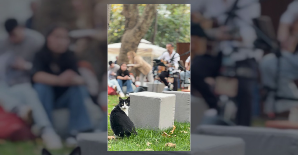 Bakırköy Belediyesi’nden Özdemir Asaf’lı Hafta Sonu Mesajı