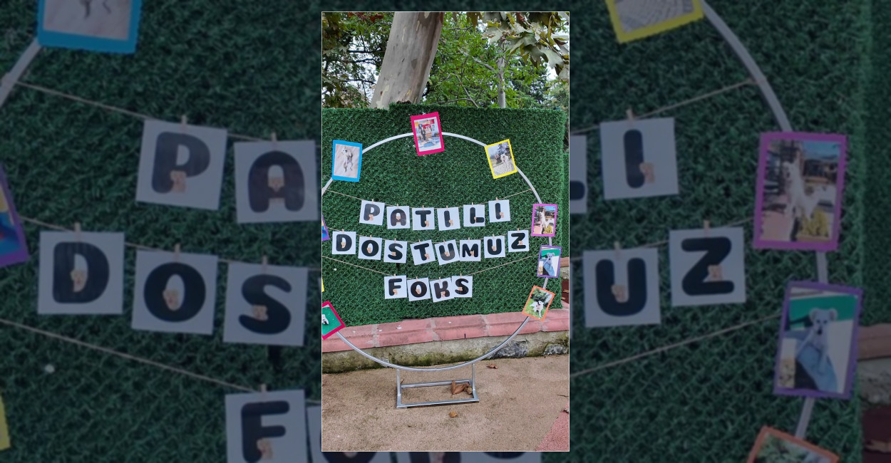 Çocuklar ile Köpek Foks’un Dostluğu