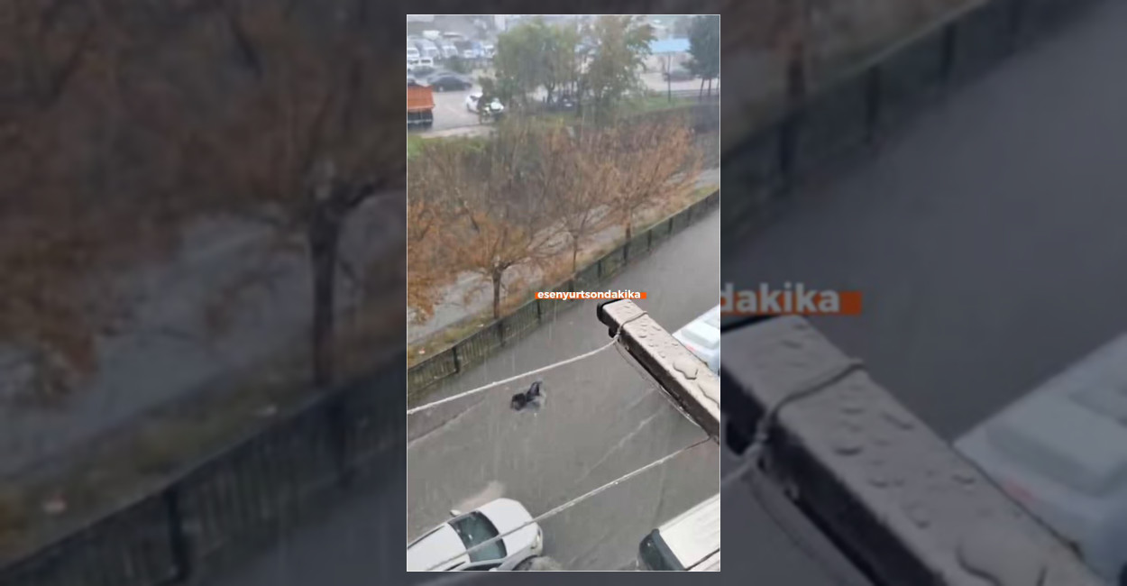 Esenyurt’ta selde sürüklenen kadını vatandaşlar kurtardı