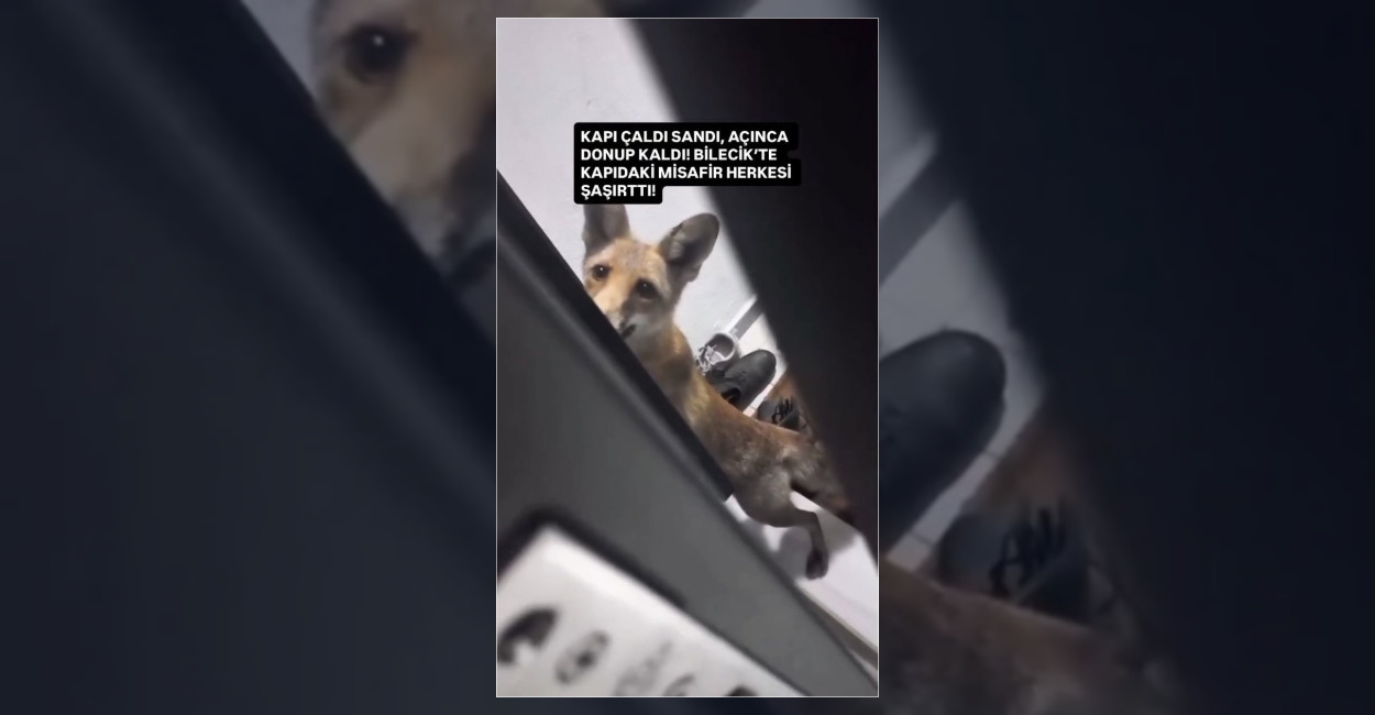 Kapı zilini çalan gizemli misafir kamerada