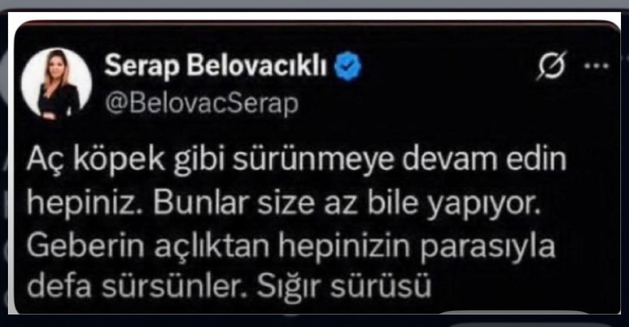 Serap Belovacıklı Hakkında Resen Soruşturma