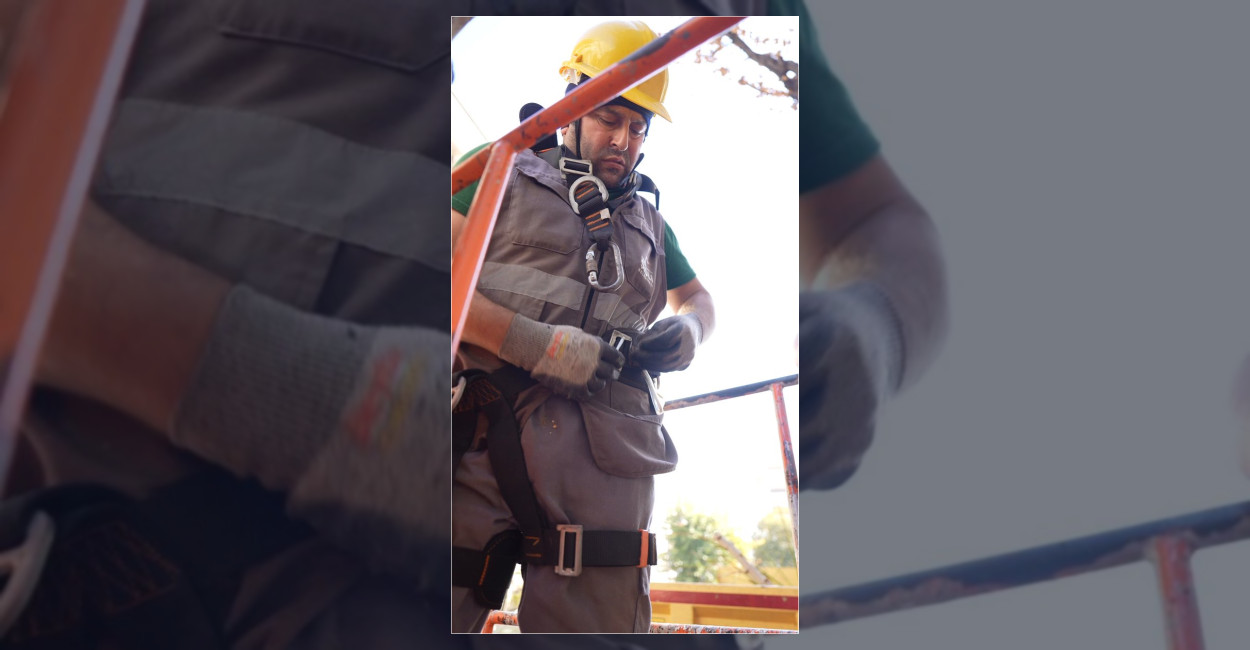 Şişli’de Zararlı Böcekle Mücadele İçin Ağaç Kesimi